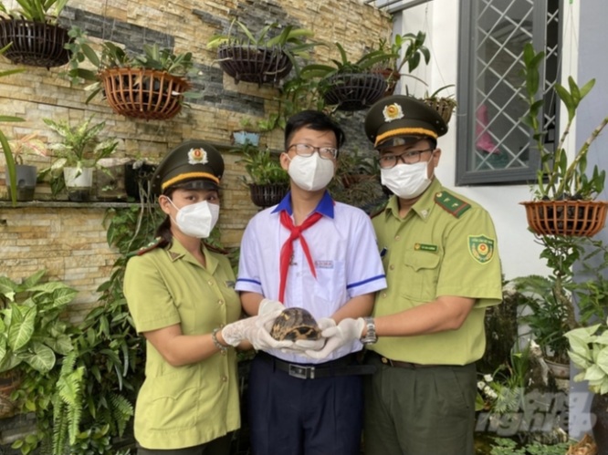HẠT