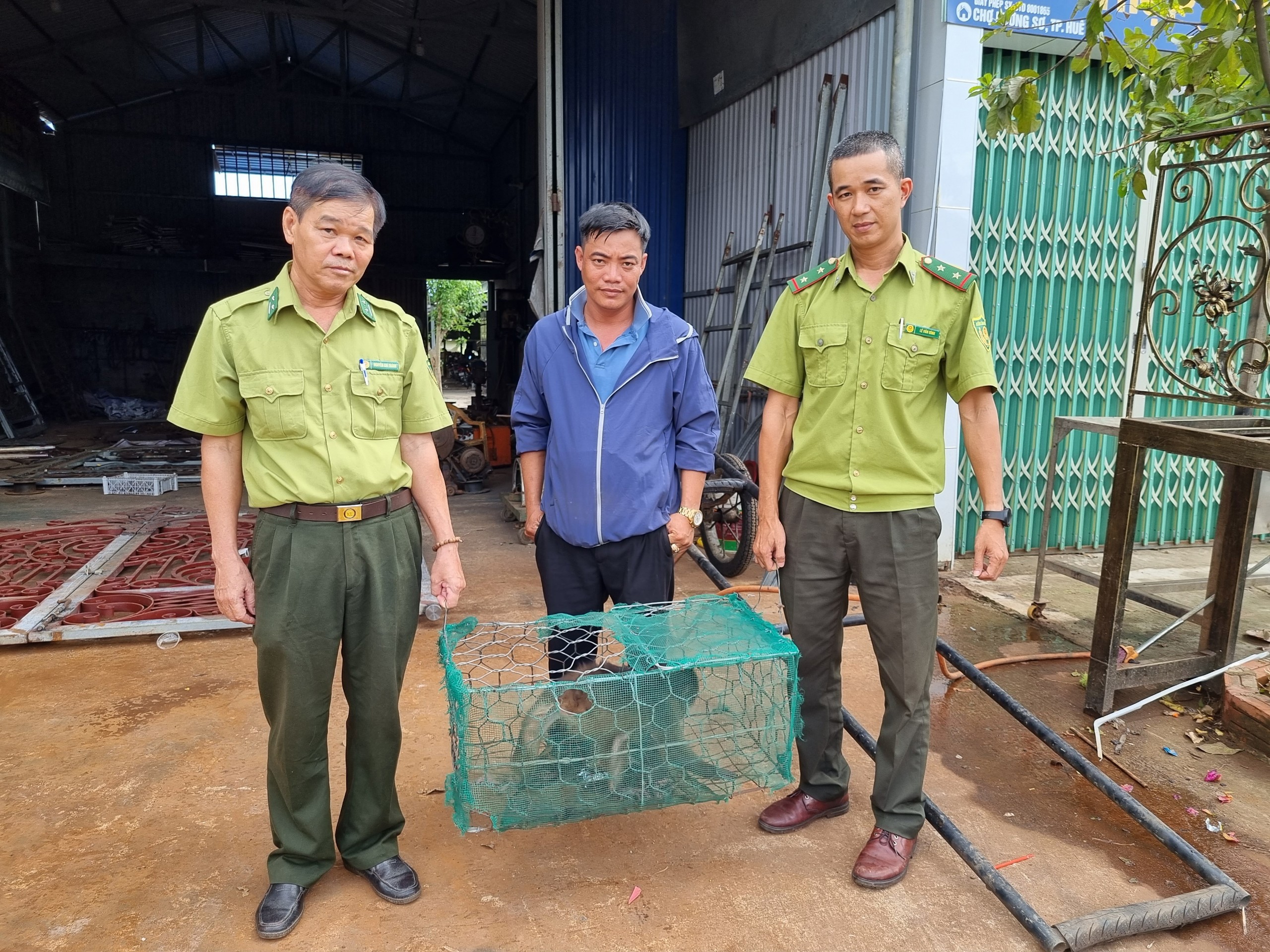 LIÊN