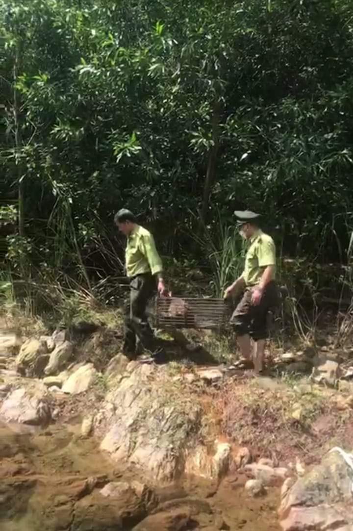 HẠT
