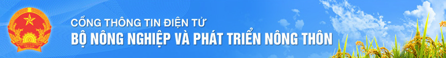 Bộ
