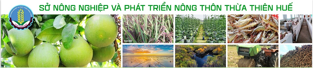 Sở