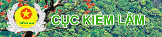 Cục