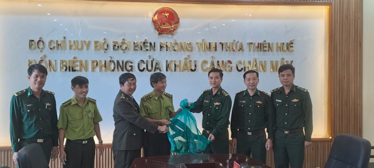 HẠT