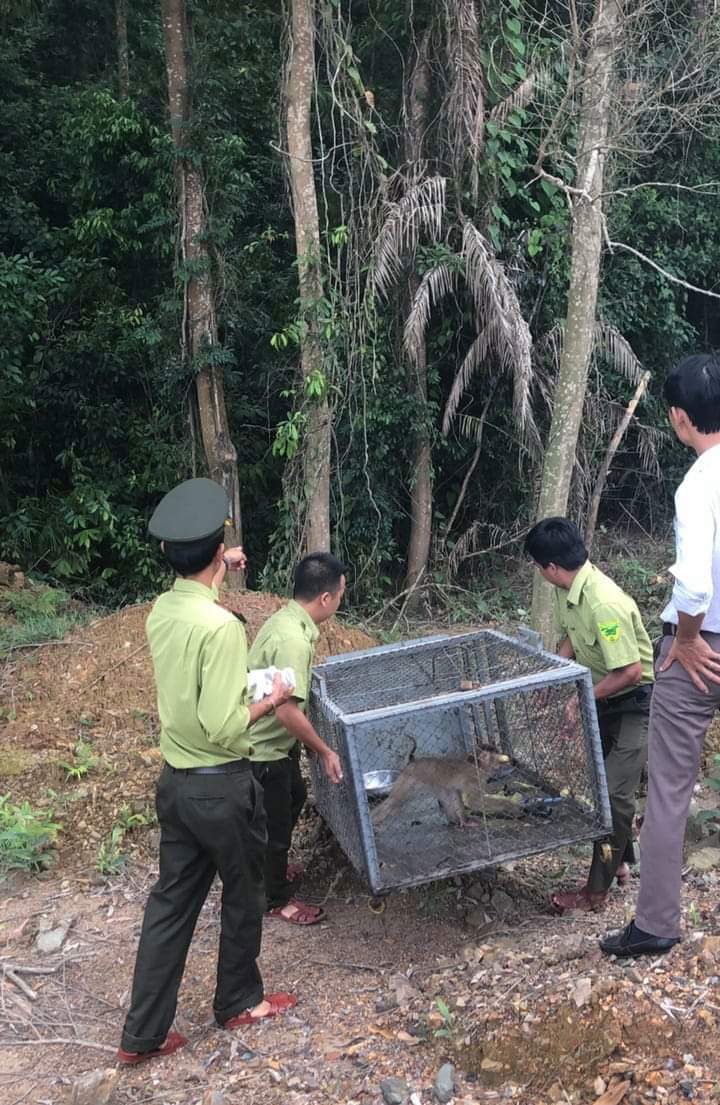 THẢ