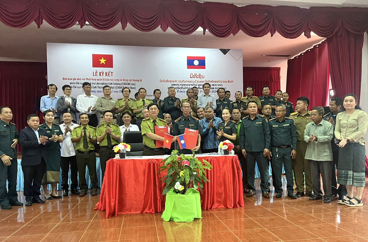 HỘI