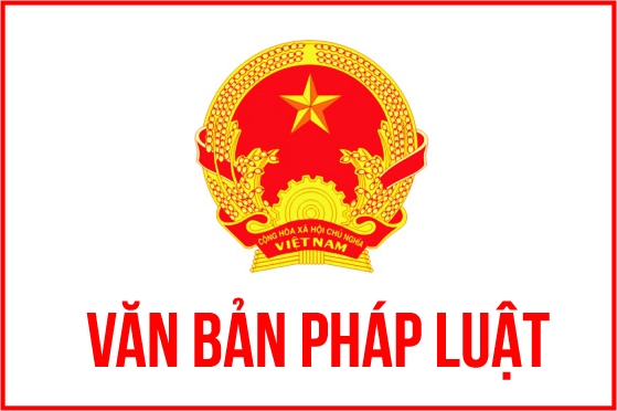 Thông