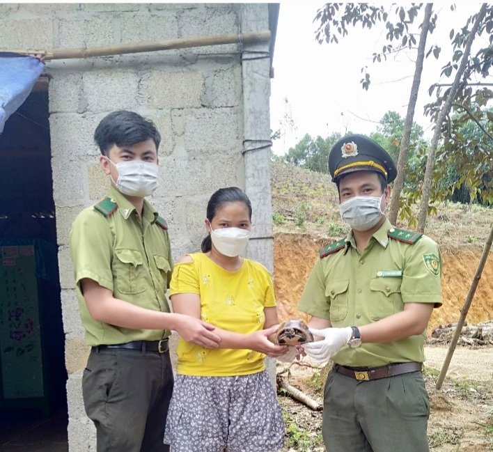 LIÊN