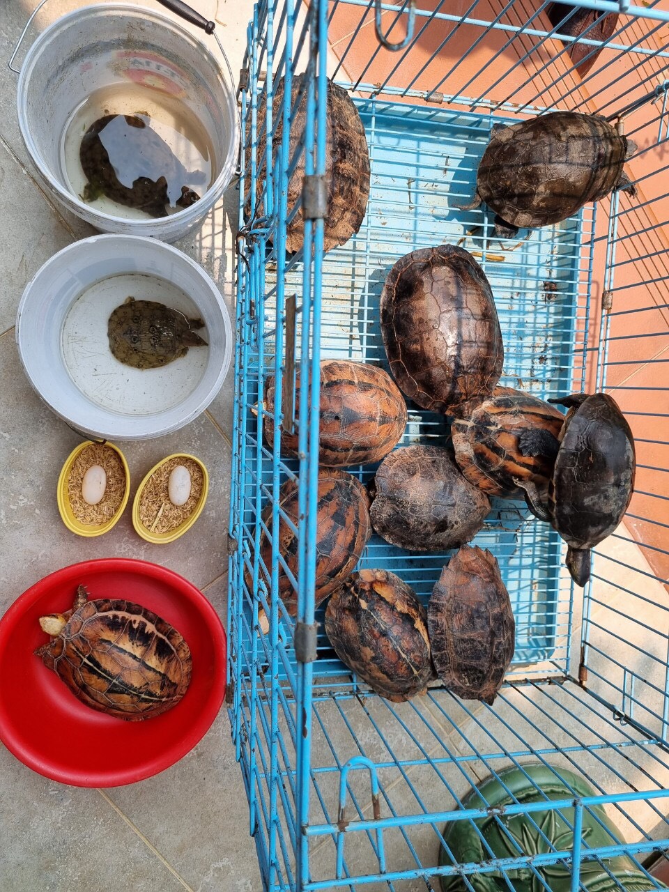 NGƯỜI