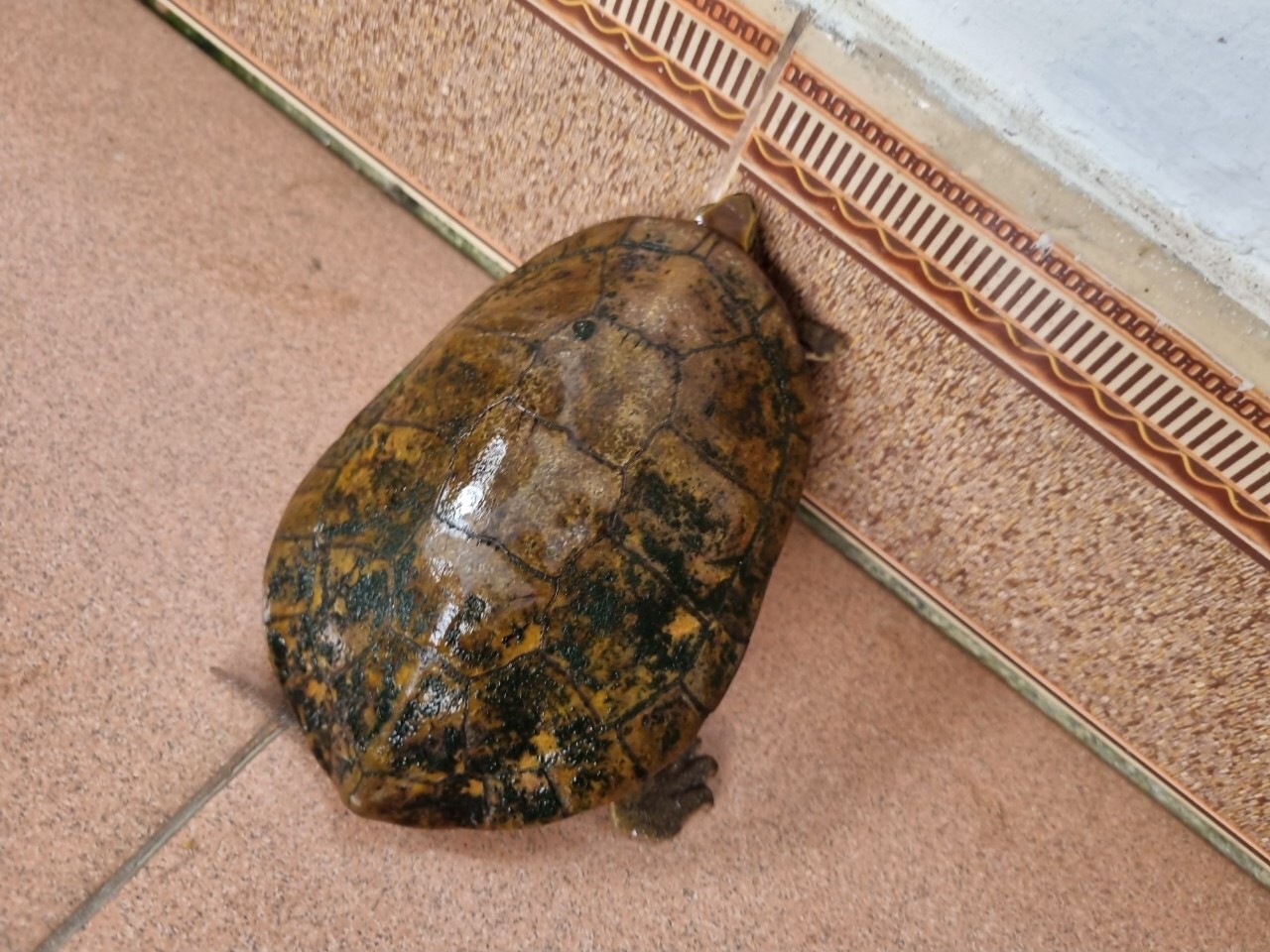 NGƯỜI
