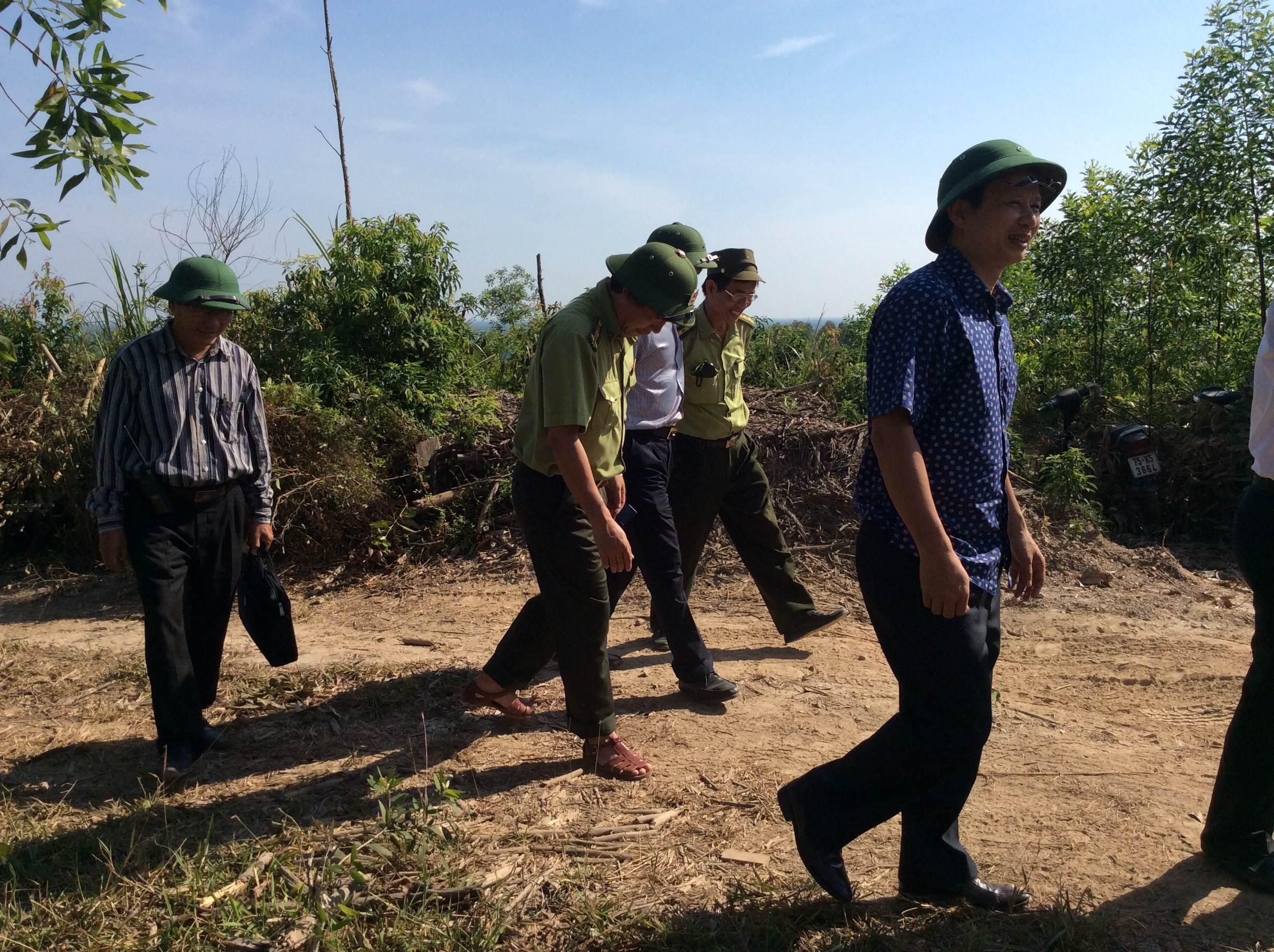 Kiểm