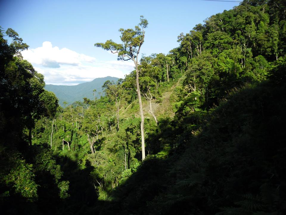 Chủ