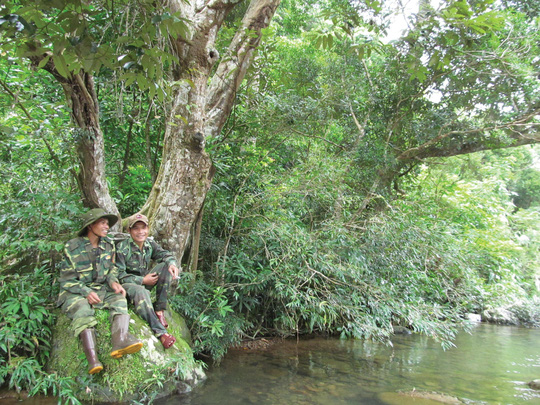 Dồn