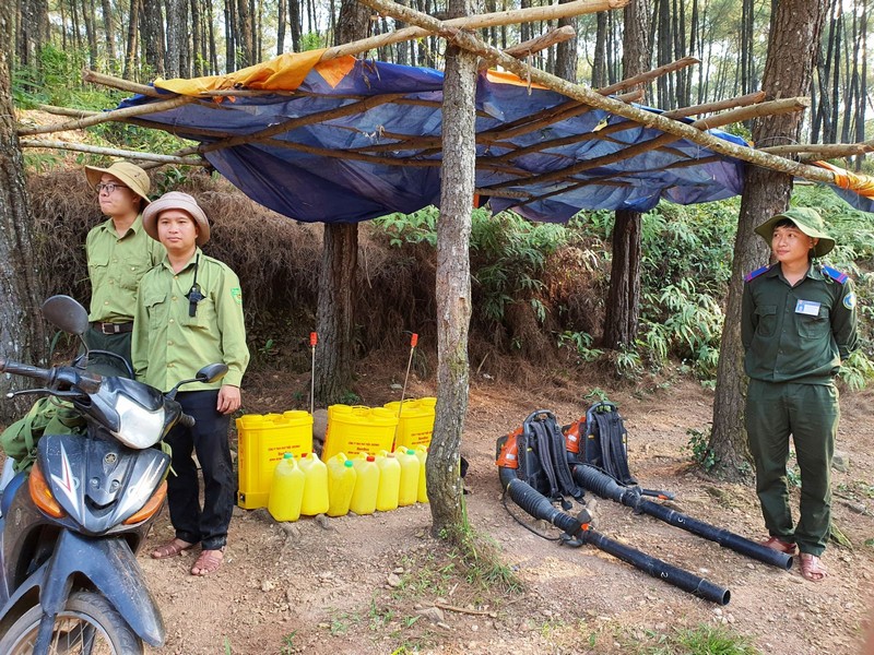 Liên