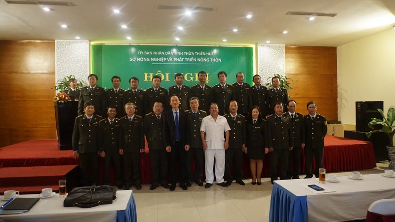 Hội