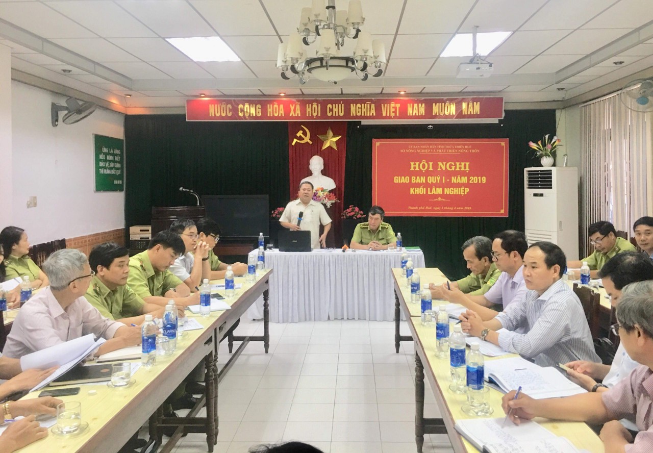 Hội