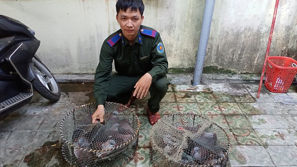 Kiểm