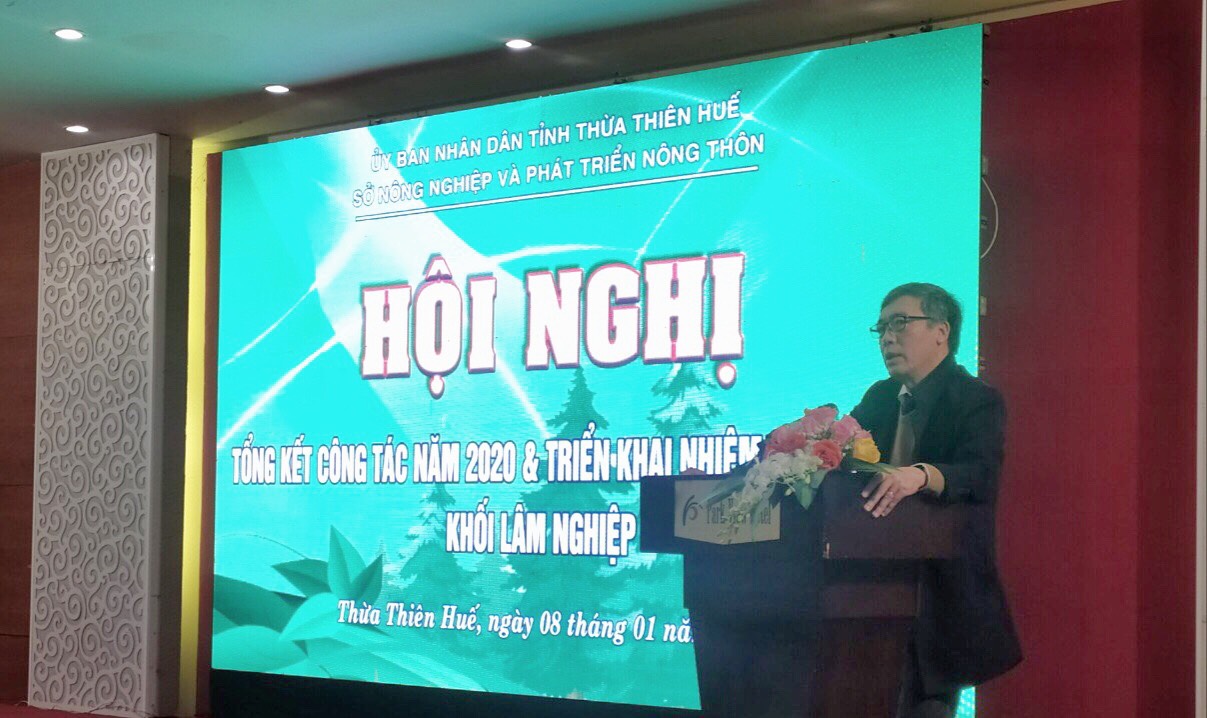 Hội