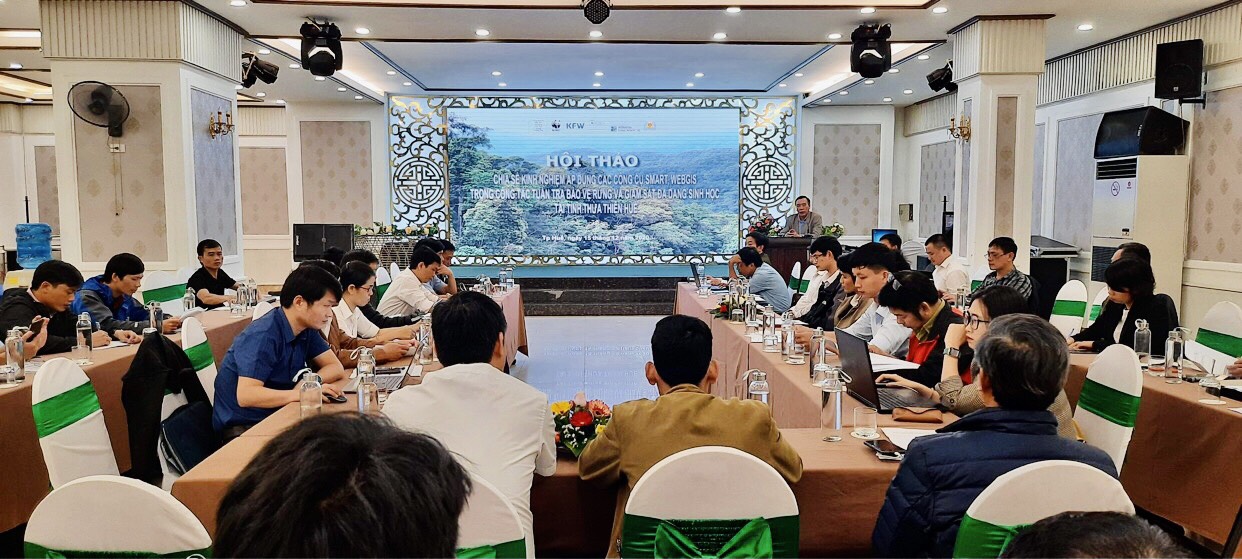Hội