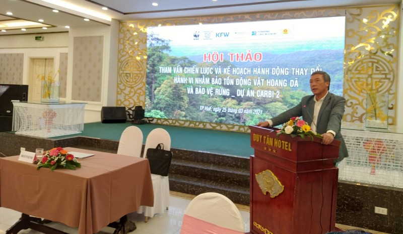 Hội