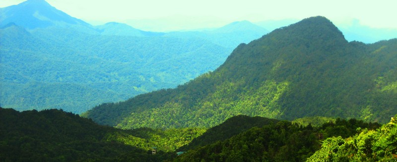 Triển