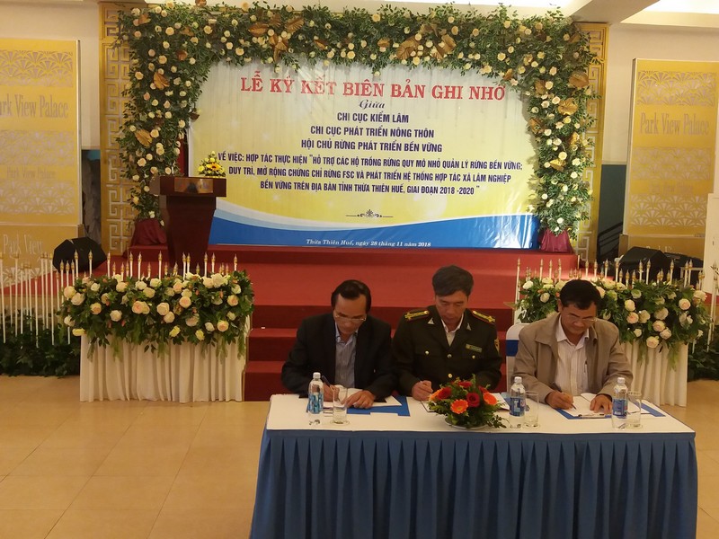 Hội