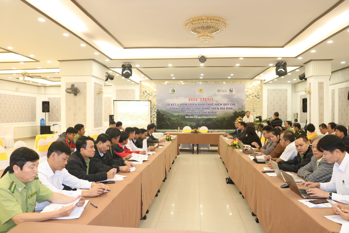 Hội