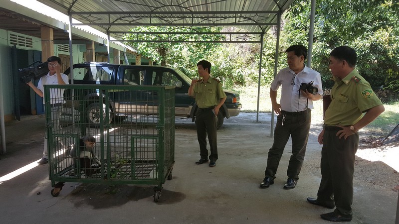 CỨU