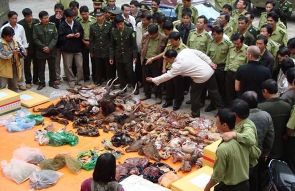 Tăng