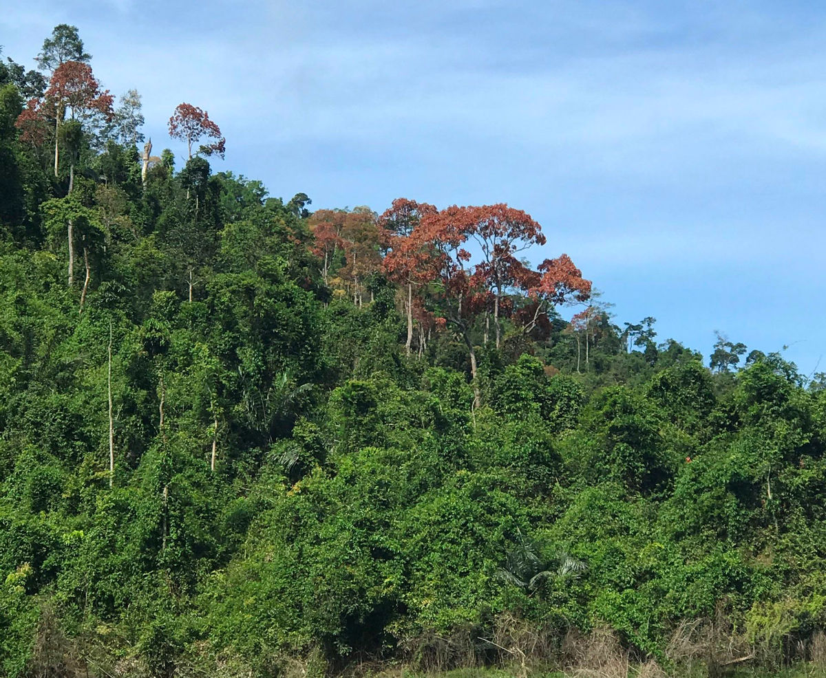 ĐẨY